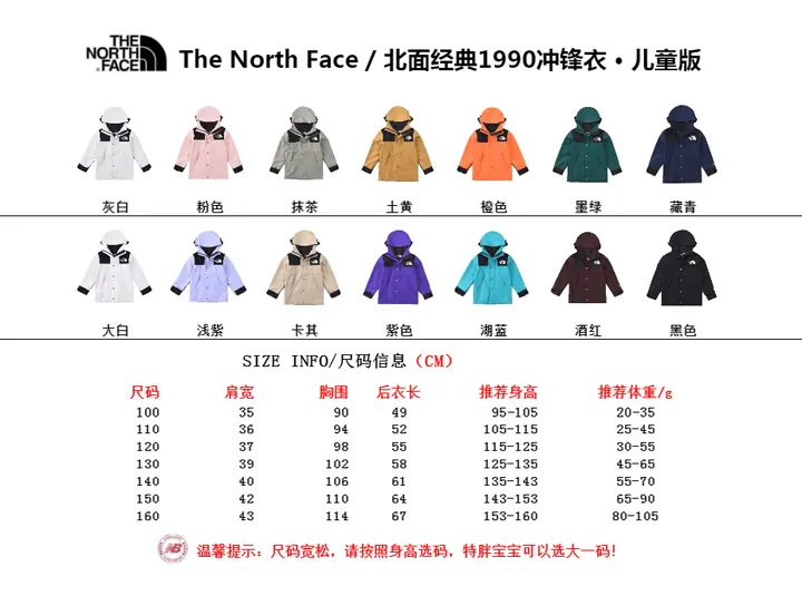 The North Face 1990 Mountain Light Jacket
