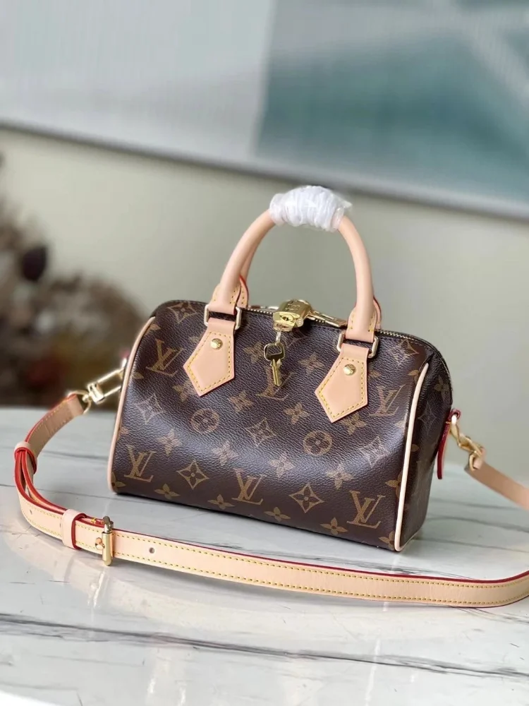 Louis Vuitton Speedy 20 Handbag