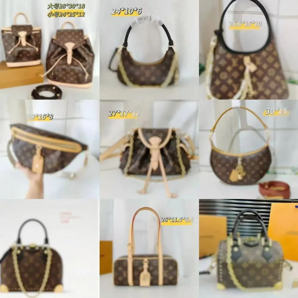 Louis Vuitton Monogram Canvas Bags
